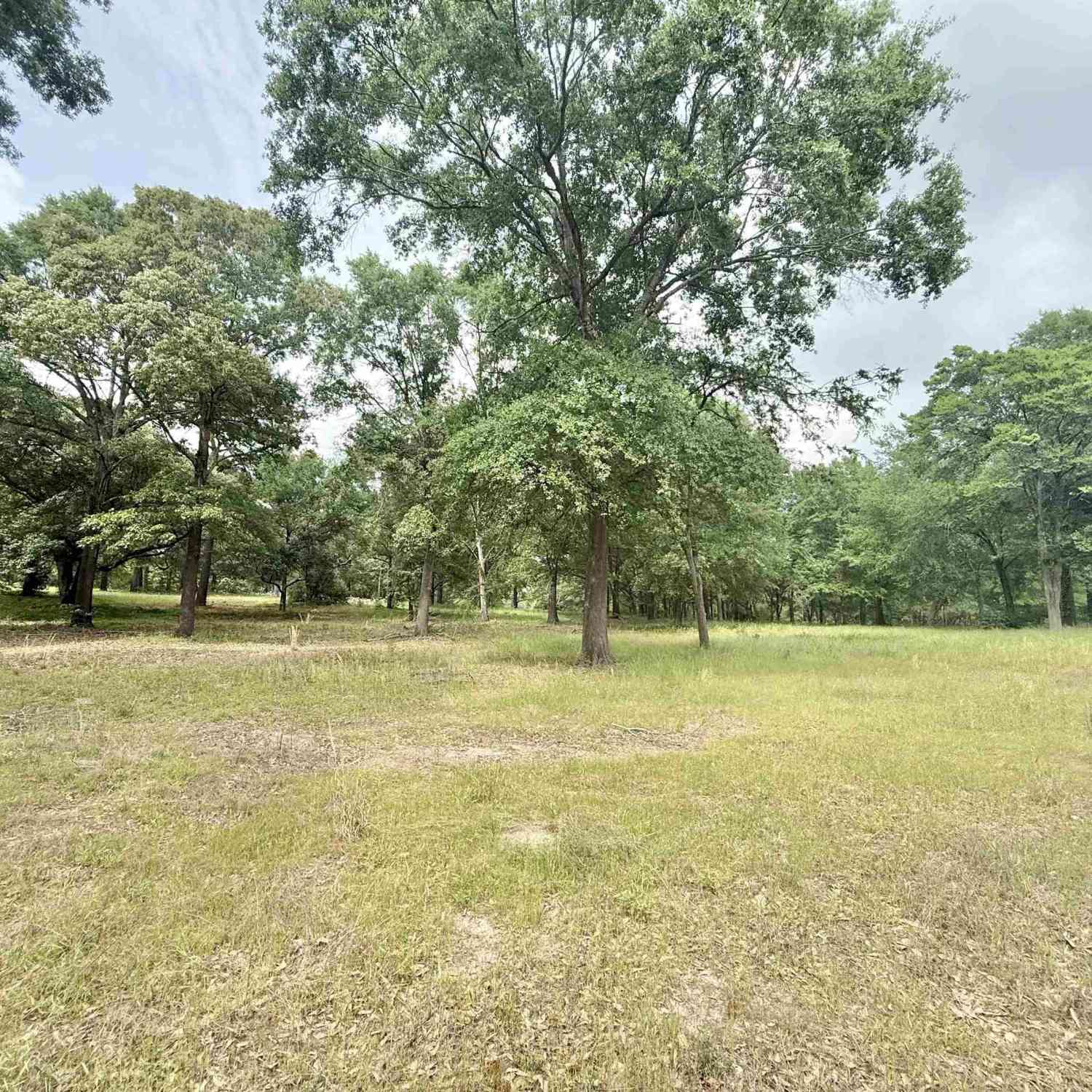 Homes For Sale - TBD Stanford Dr<br/> Jacksonville, TX 75766