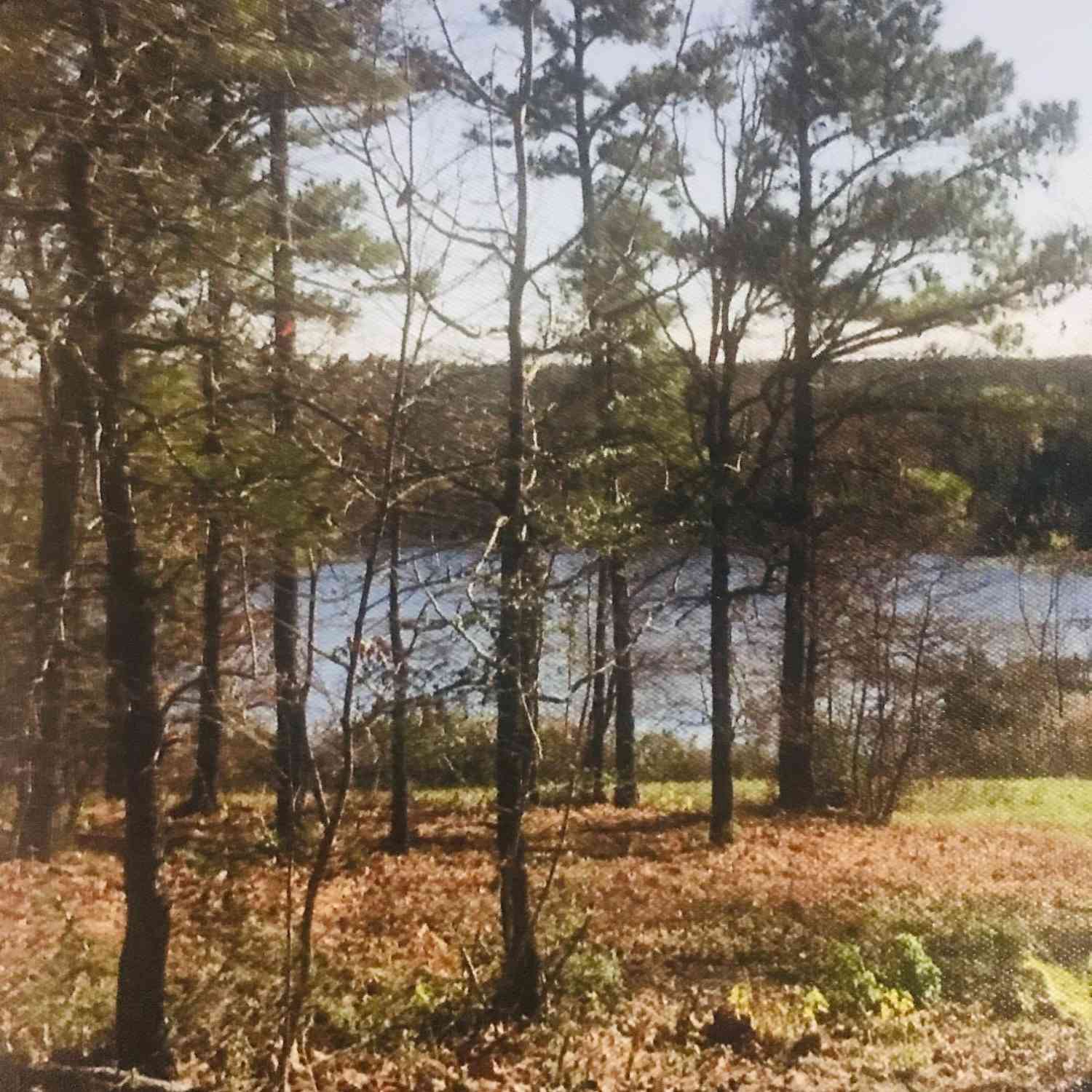 Homes For Sale - LOT 17 Cr 3545<br/> Hawkins, TX 75765