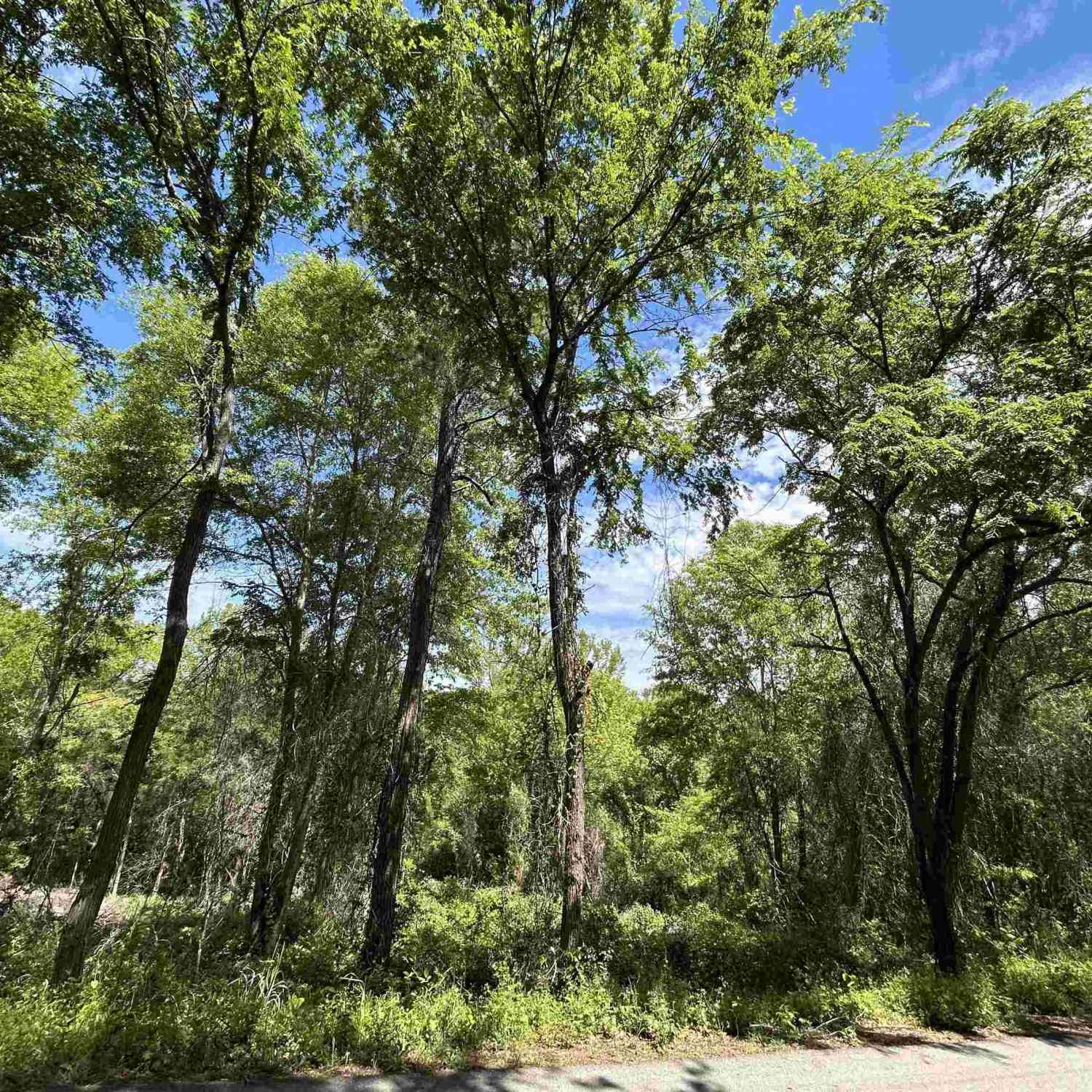 Homes For Sale - 13912 Country Road 1250<br/> Tyler, TX 75709