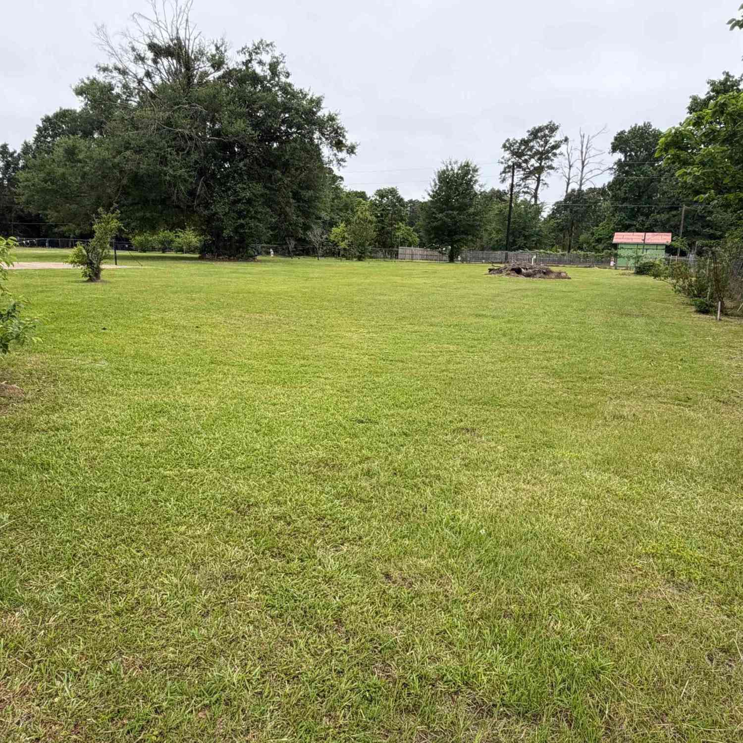 Homes For Sale - TBD Brierwood Drive<br/> Frankston, TX 75763