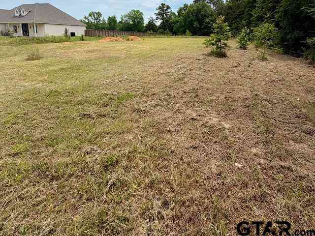 Homes For Sale - 14973 Turtle Creek Ranch Road<br/> Flint, TX 75762