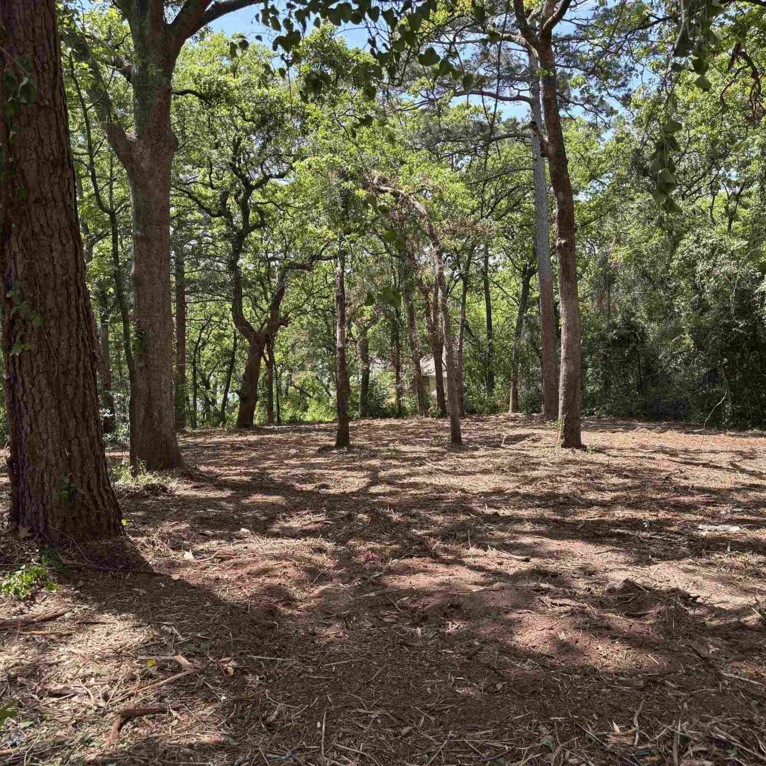 Homes For Sale - 514 Dogwood Ln<br/> Hideaway, TX 75771