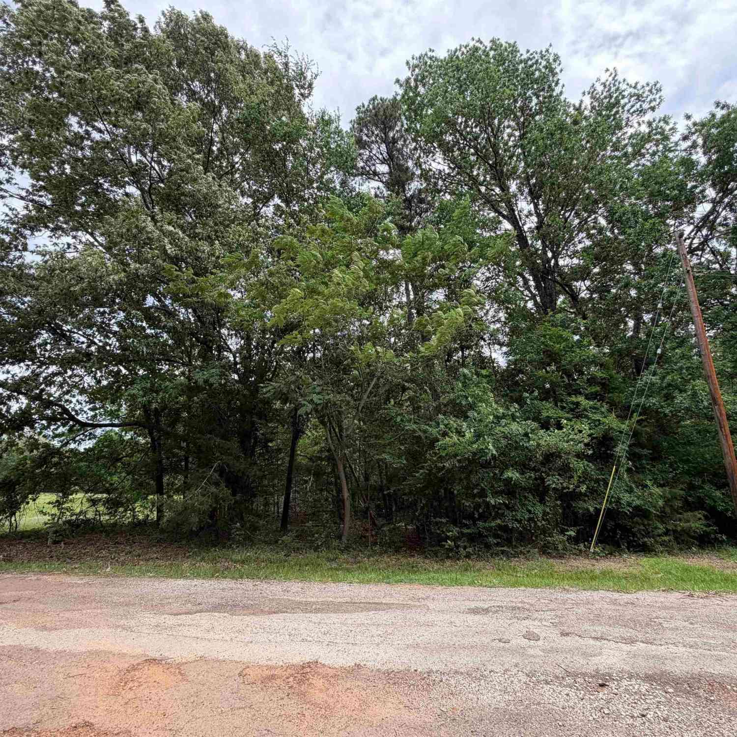 Homes For Sale - TBD Llano Mount Vernon Tx 75457<br/> Mt Vernon, TX 75457