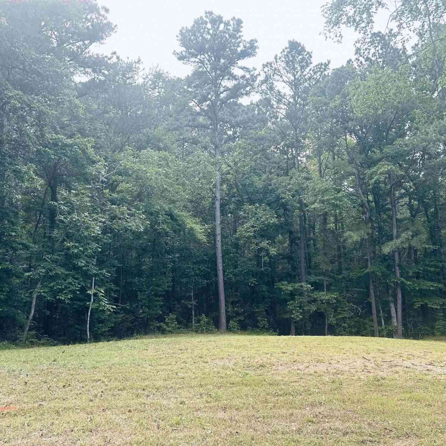 Homes For Sale - TBD Brandon St<br/> Troup, TX 75789