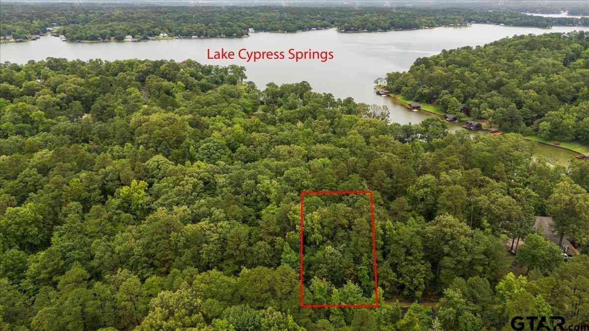 Homes For Sale - LOT 236 Canadian<br/> Scroggins, TX 75480