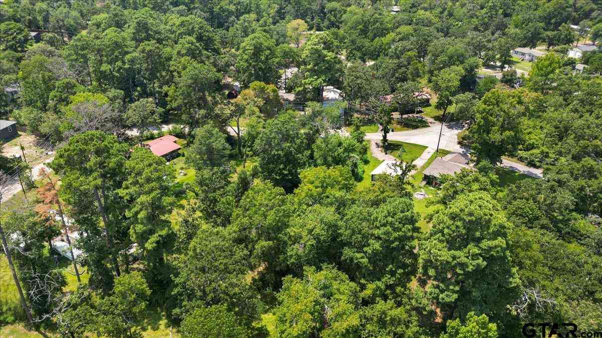 Homes For Sale - TBD LOT 1 Brierwood Drive<br/> Frankston, TX 75763