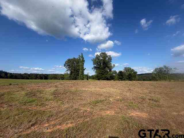 Homes For Sale - TBD Lot 5 Falcon View<br/> Diana, TX 75640