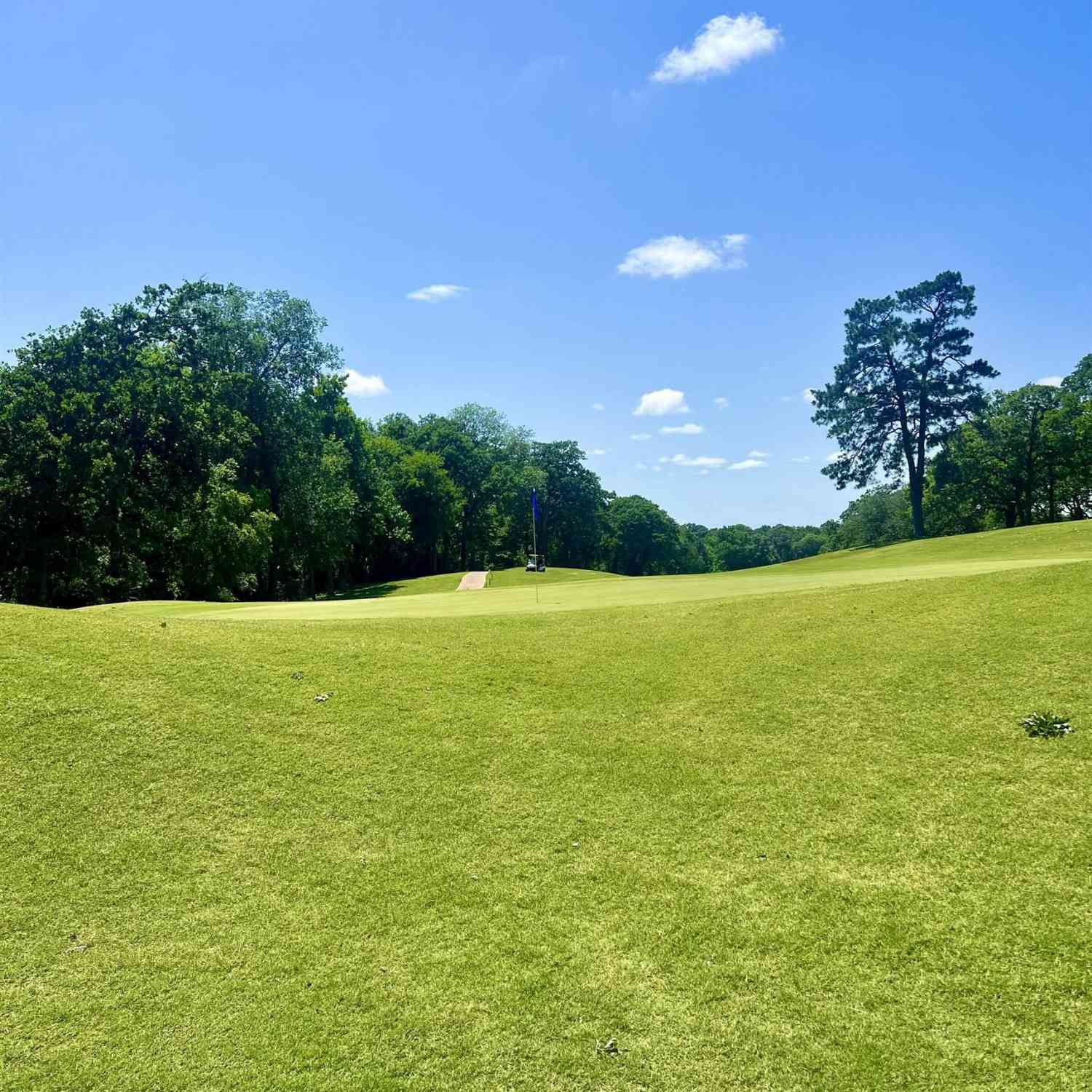 Homes For Sale - 412 Hogan Dr.<br/> Tyler, TX 75709