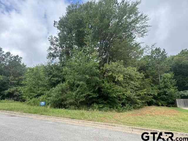 Homes For Sale - 9469 Cherokee Trail<br/> Tyler, TX 75703