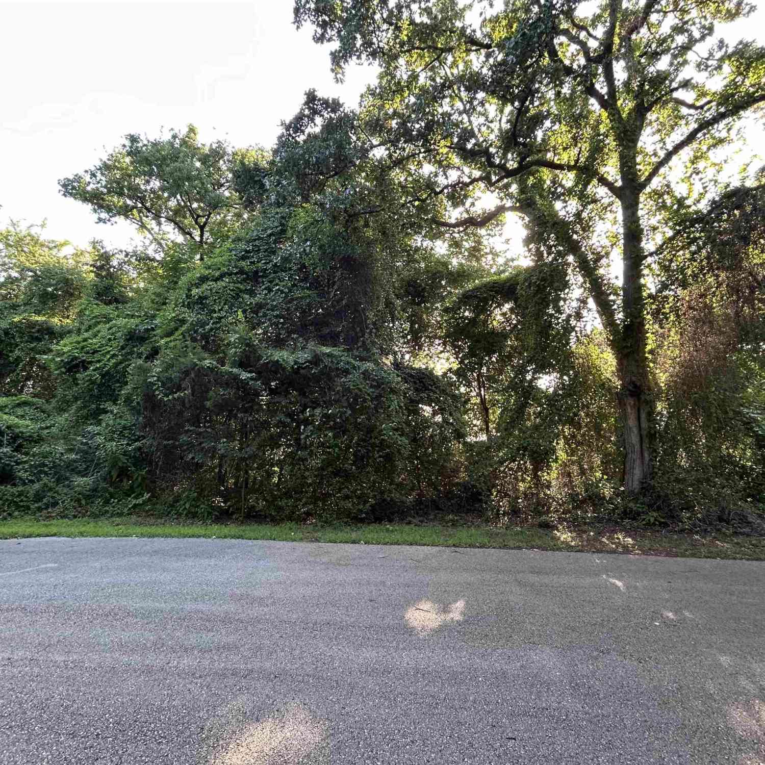 Homes For Sale - Lookout Lake Circle<br/> Flint, TX 75762