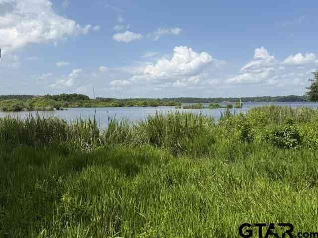 Homes For Sale - 3196 Shadow Pine Dr<br/> Henderson County, LaRue, TX 75770