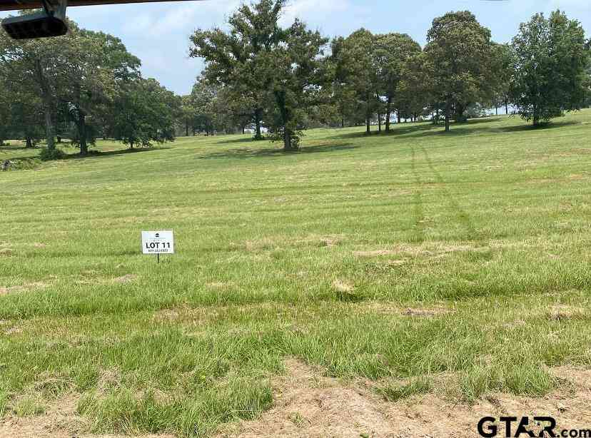 Homes For Sale - LOT 11 TBD Private Road 3398<br/> Big Sandy, TX 75755