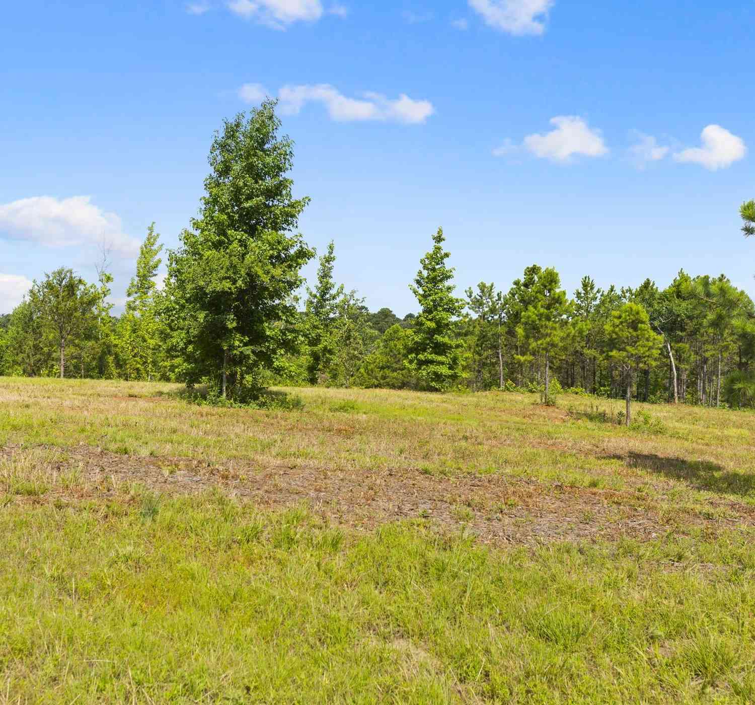 Homes For Sale - TBD County Road 4112 Lot 5<br/> Lindale, TX 75771