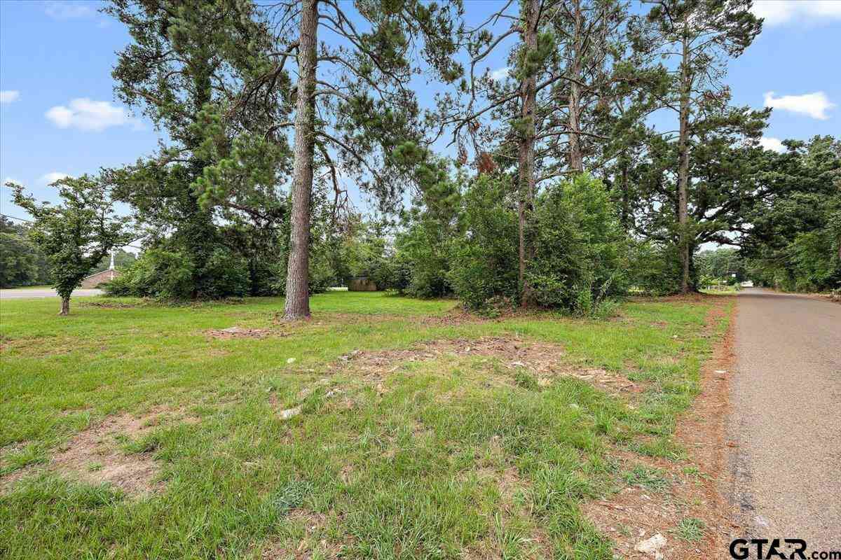 Homes For Sale - TBD N Dickinson<br/> Rusk, TX 75785
