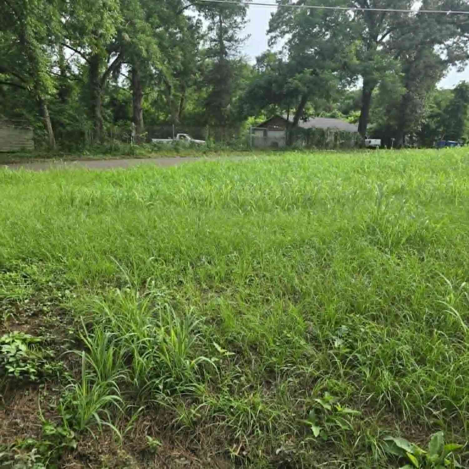 Homes For Sale - 800 Webb<br/> Daingerfield, TX 75638