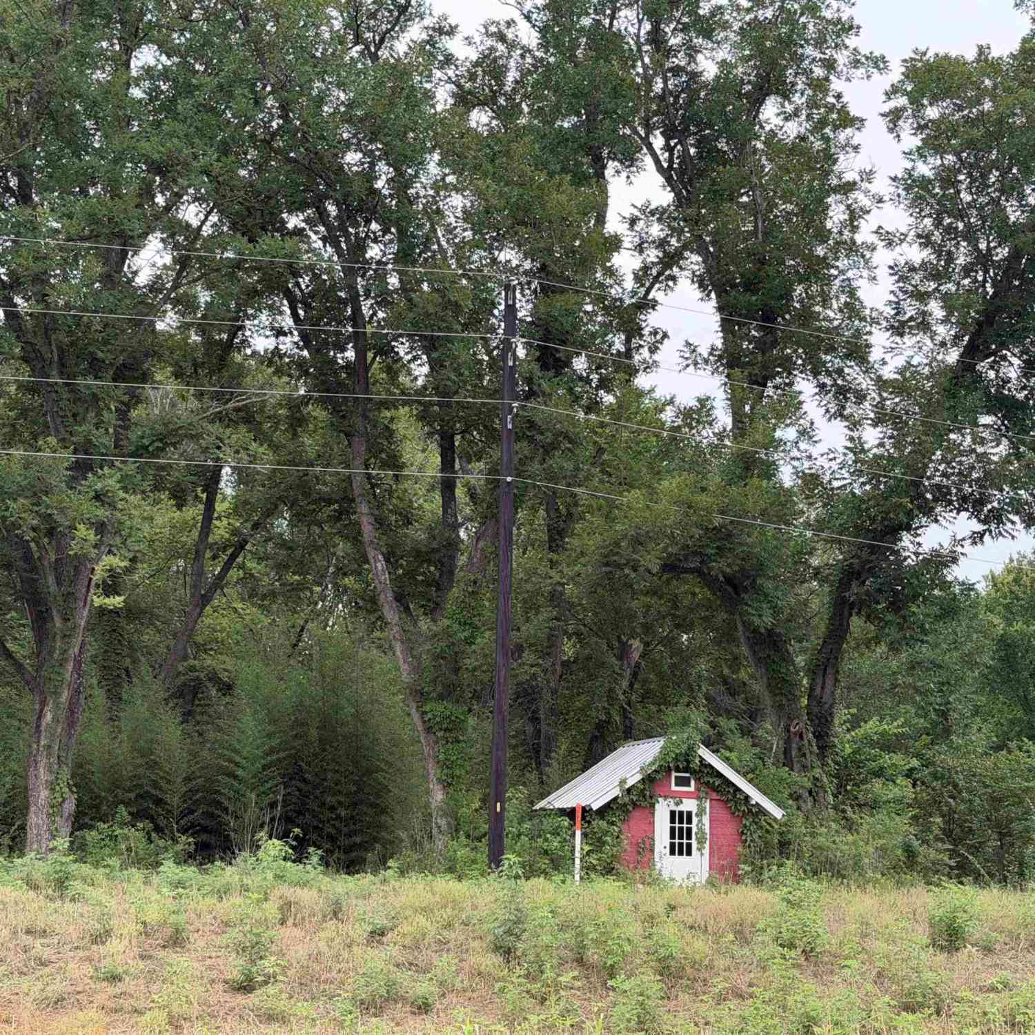 Homes For Sale - 18171 Fm 16 Lot #6<br/> Lindale, TX 75771