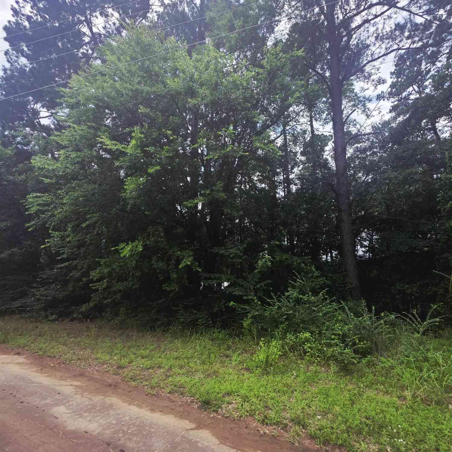 Homes For Sale - TBD Cr 2131<br/> Quitman, TX 75783