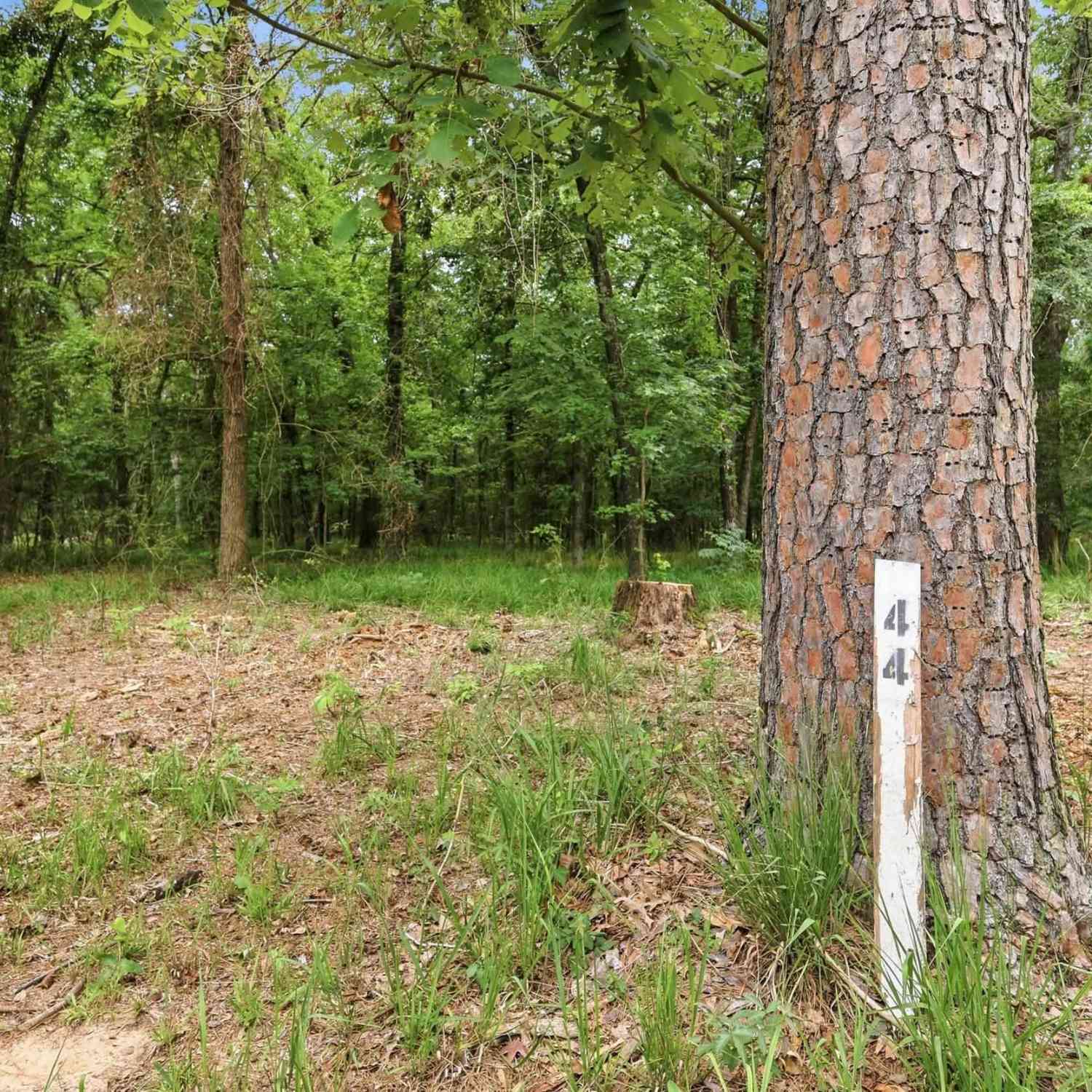 Homes For Sale - LOT 44 Sterling Shores Dr<br/> Scroggins, TX 75480