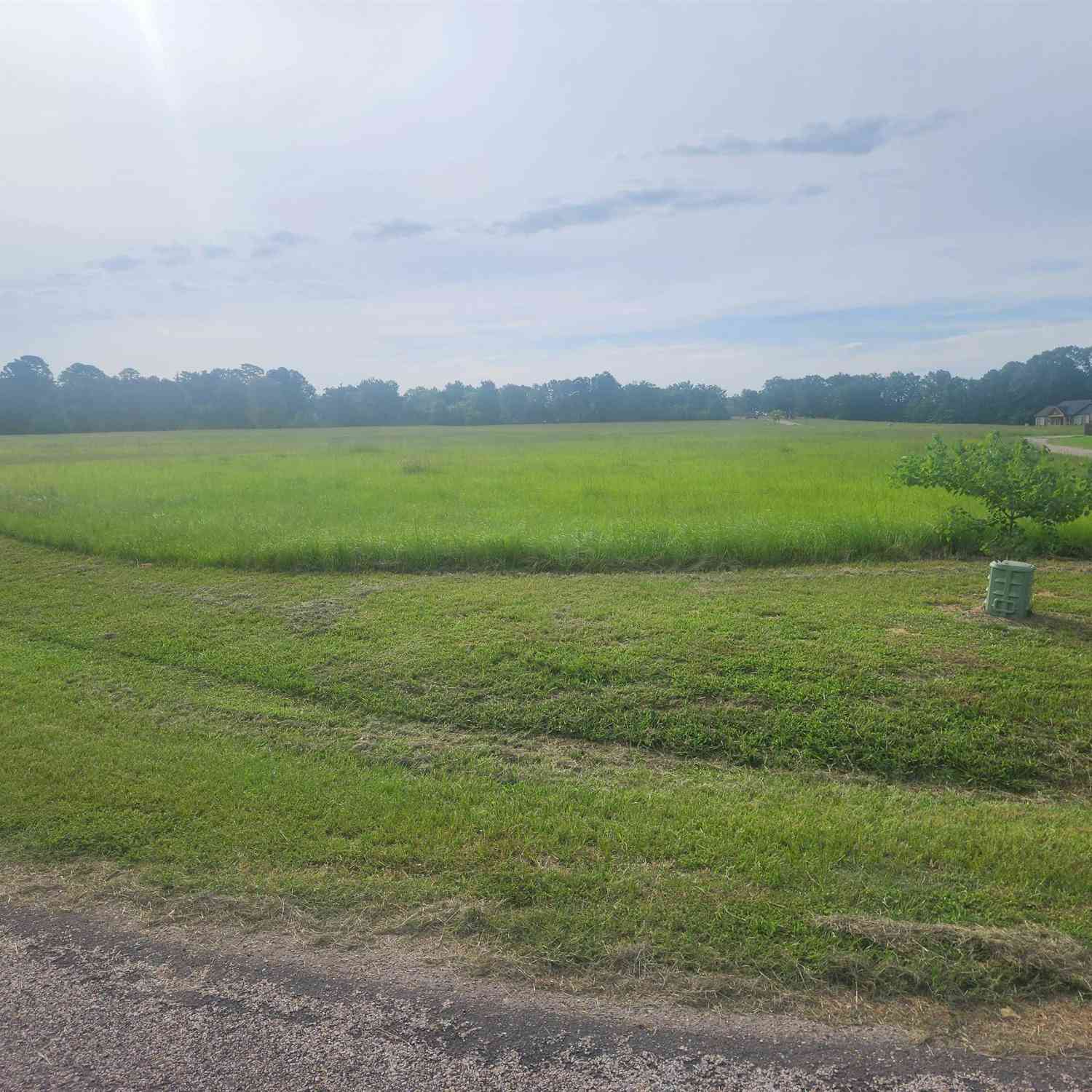 Homes For Sale - TBD Cr 2136<br/> Camp County, Pittsburg, TX 75686