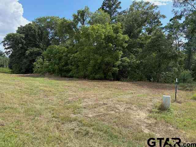 Homes For Sale - TBD Cypress Creek Dr<br/> Upshur County, Diana, TX 75640