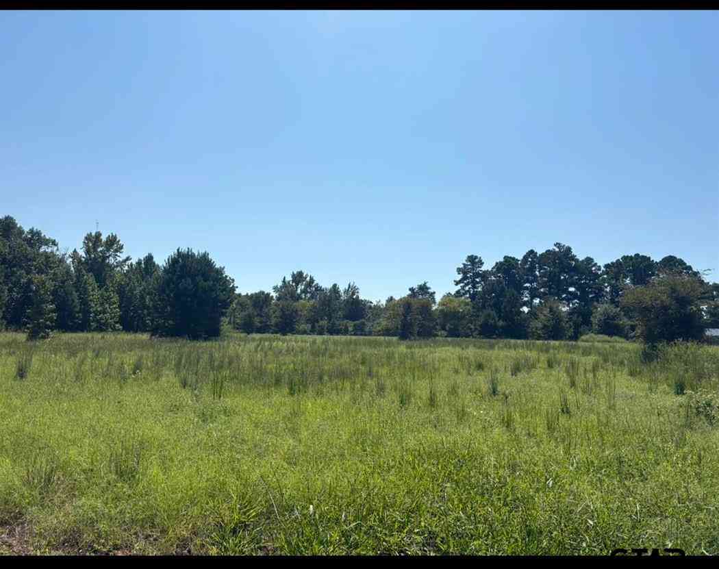 Homes For Sale - TBD Cr 192<br/> Smith County, Tyler, TX 75703