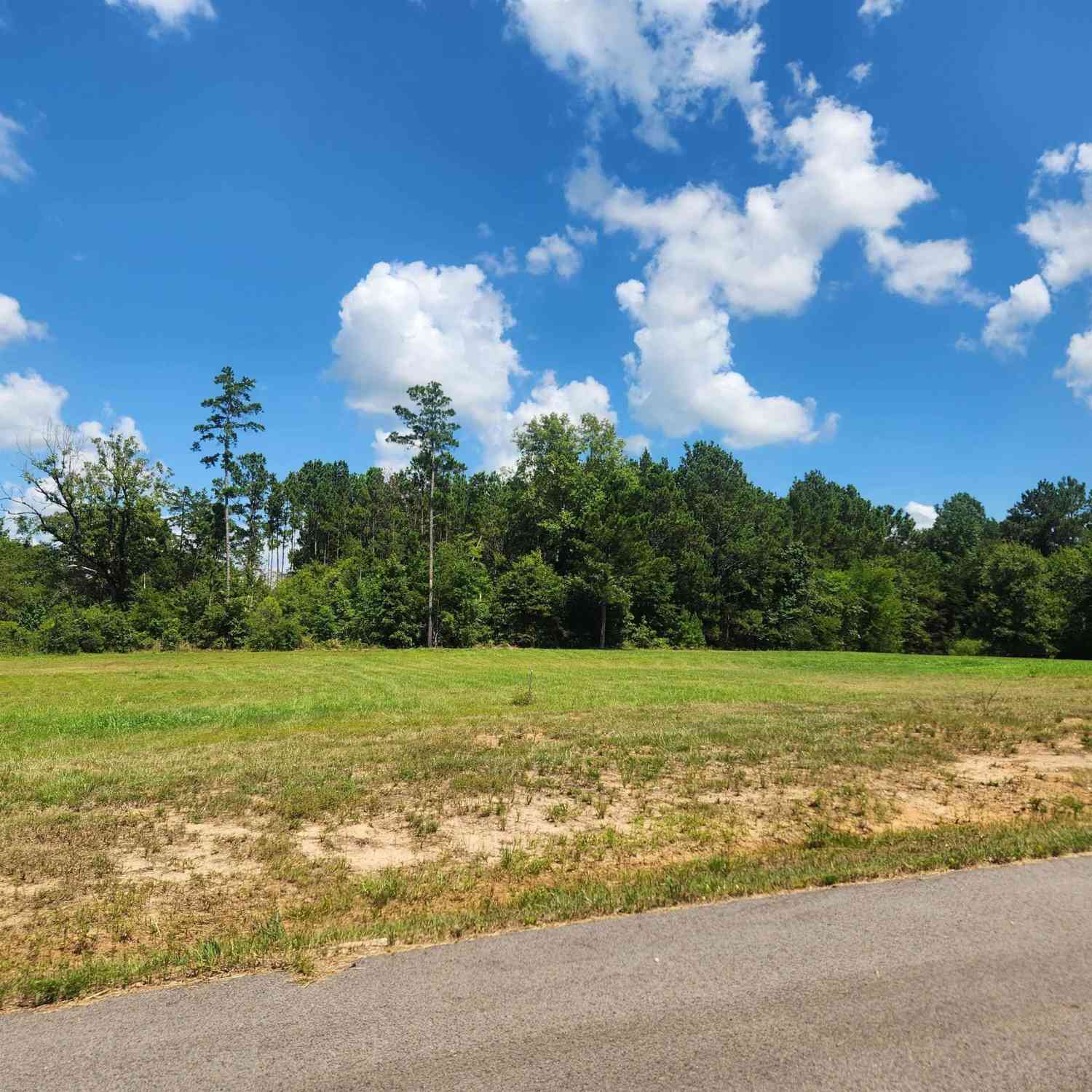 Homes For Sale - 20035 Dews Ct Lot 4<br/> Troup, TX 75789