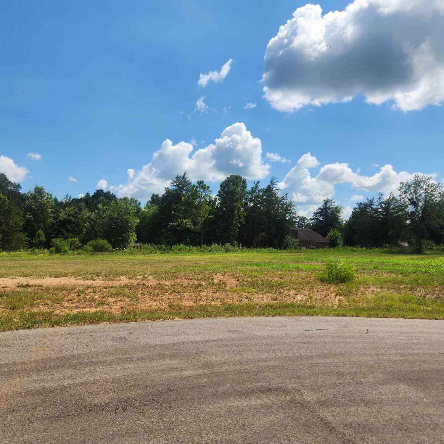 Homes For Sale - 20048 Dews Ct Lot 5<br/> Troup, TX 75789