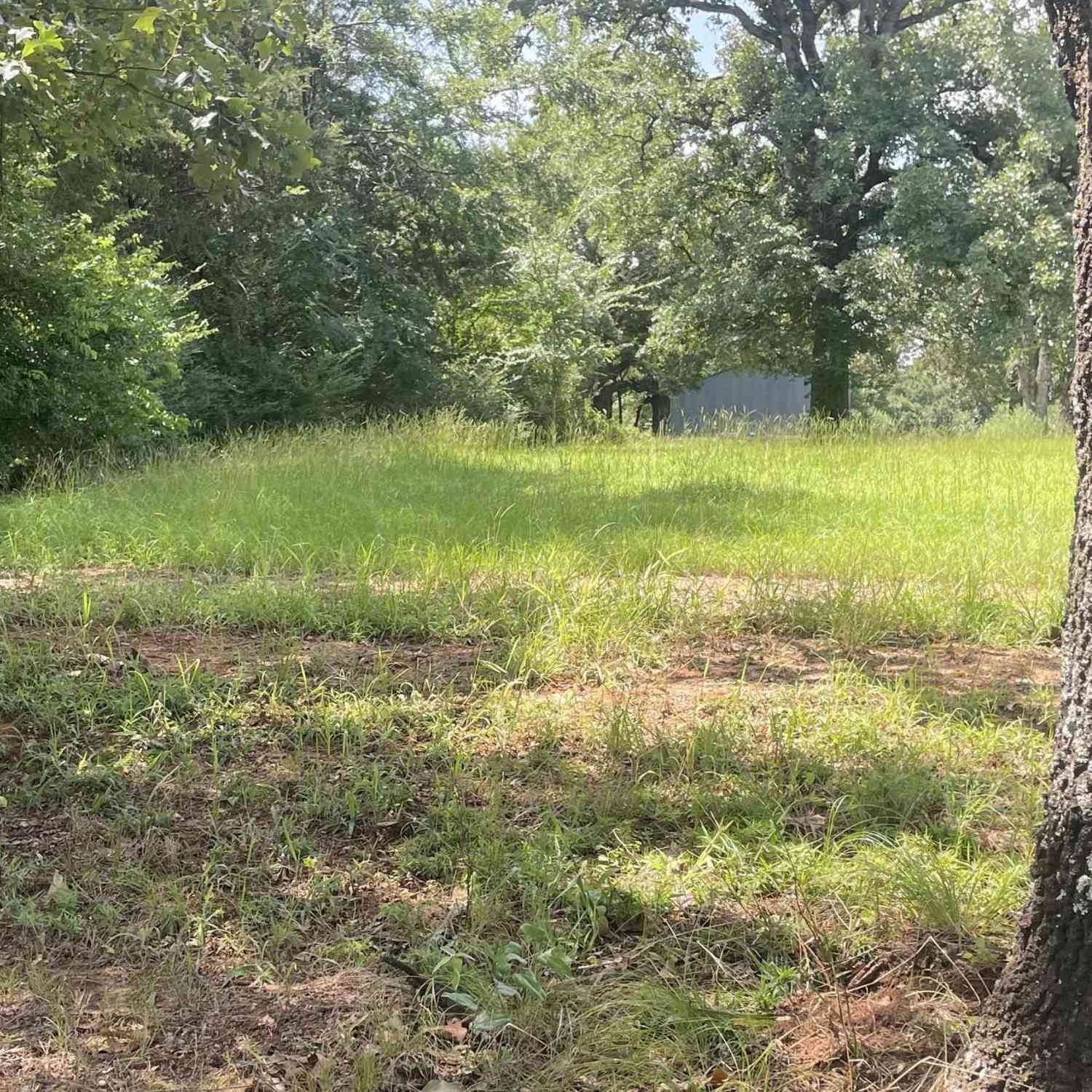 Homes For Sale - 640 S Cr 4505<br/> Winnsboro, TX 75494