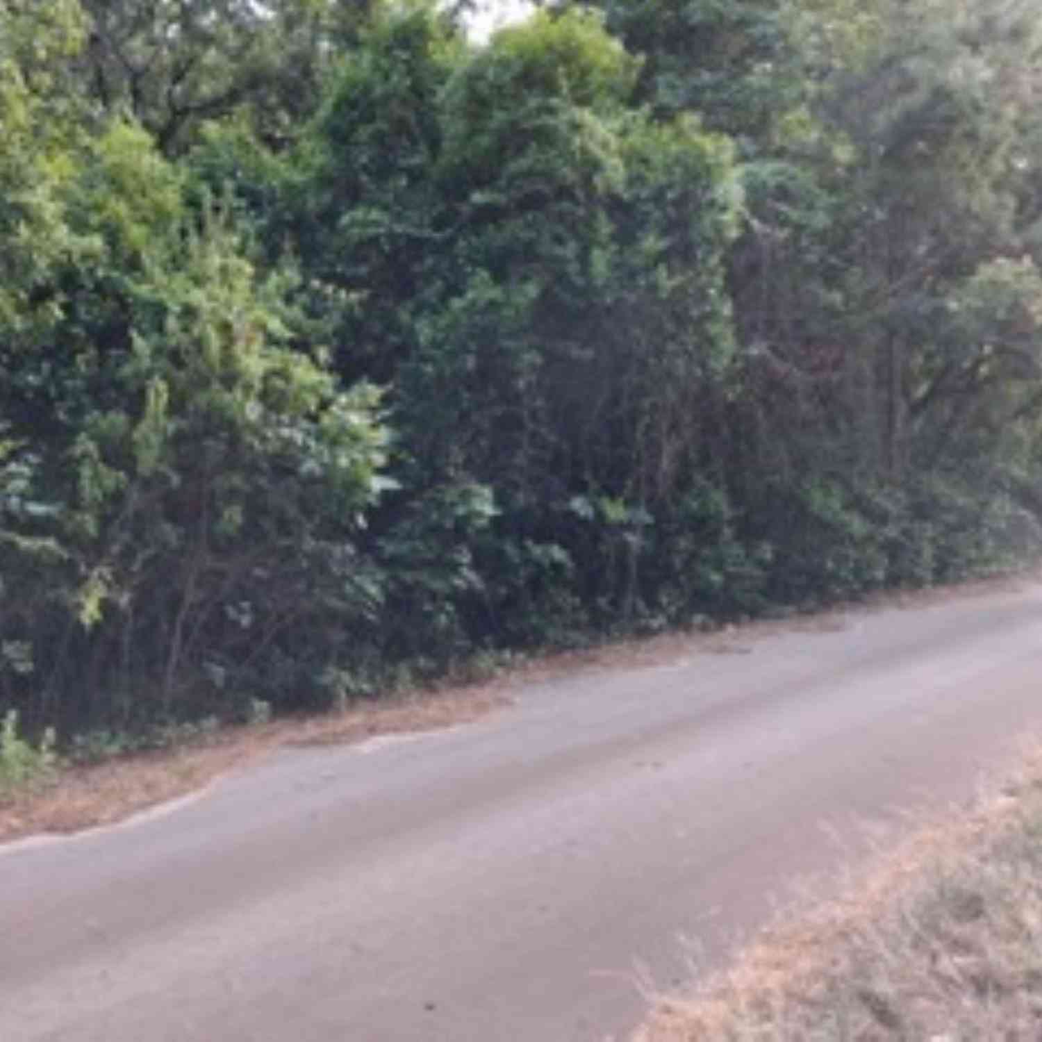 Homes For Sale - TBD Chapparal Run<br/> Van Zandt County, Murchison, TX 75778