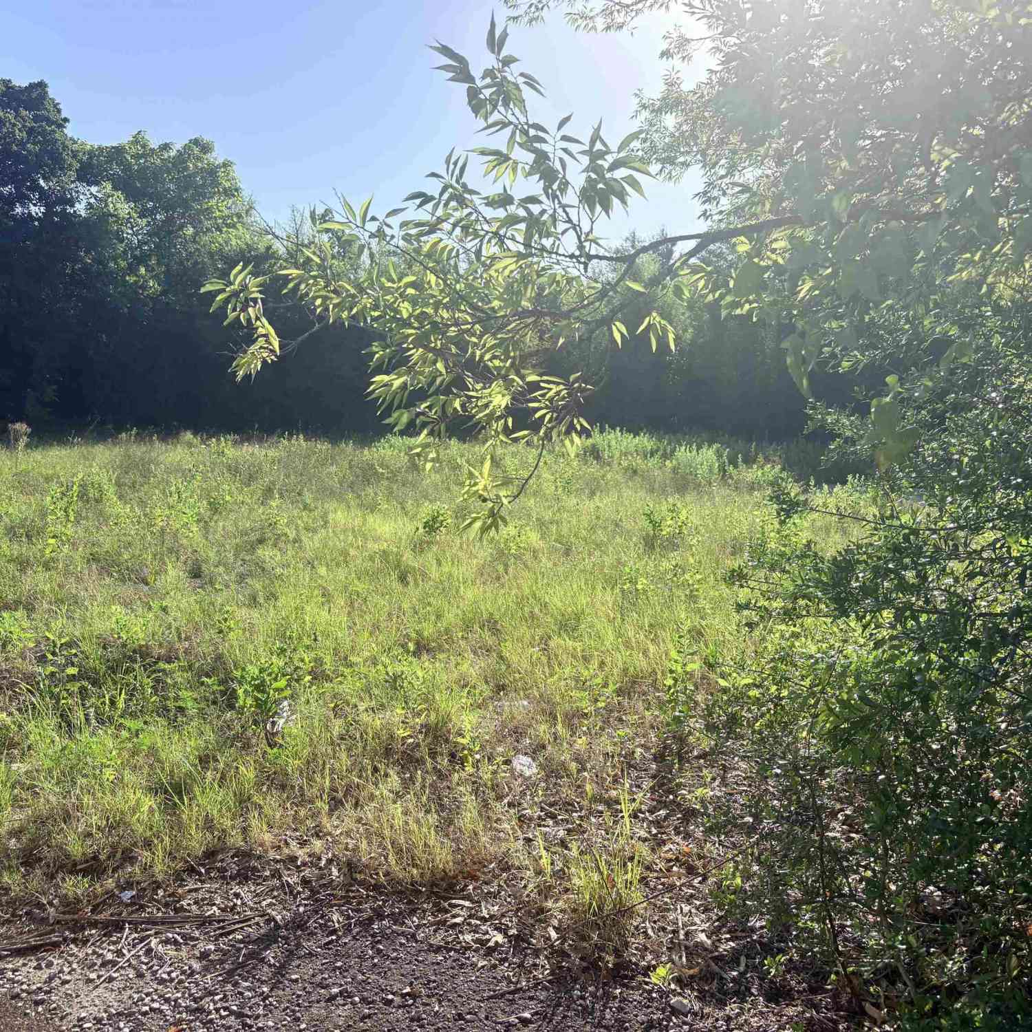Homes For Sale - 1006 Britton Avenue<br/> Smith County, Tyler, TX 75701