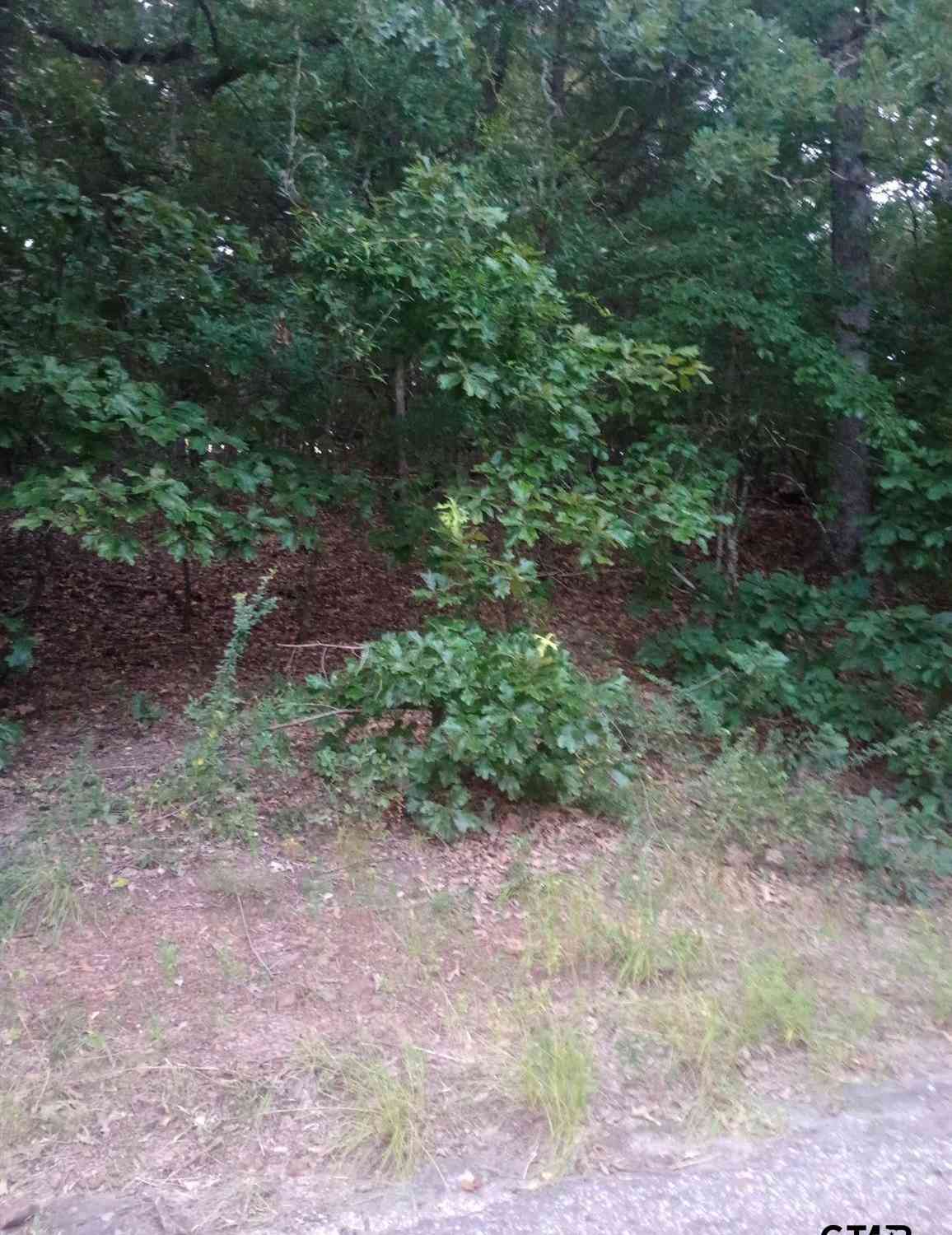 Homes For Sale - 0000 Wildwood<br/> Murchison, TX 75778