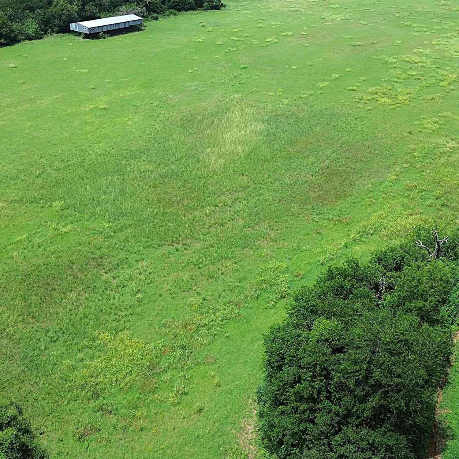 Homes For Sale - TBD E State Highway 21<br/> Houston County, Crockett, TX 75835