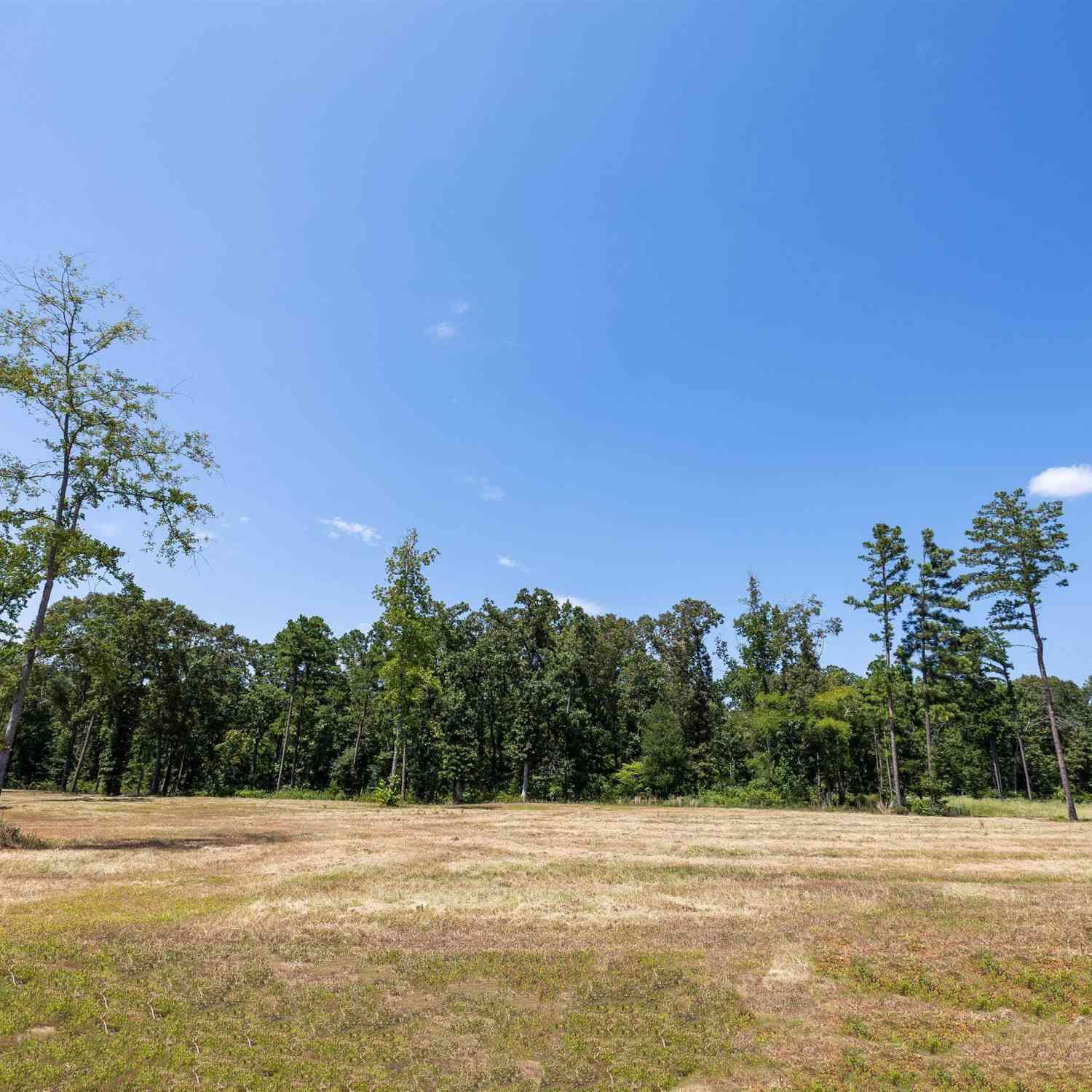 Slider Thumb