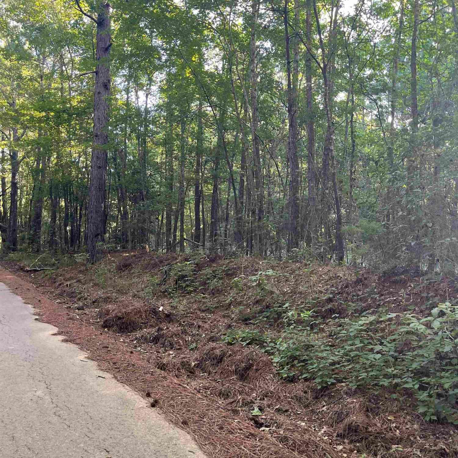 Homes For Sale - TBD County Road 2151 (tract 2)<br/> Troup, TX 75789