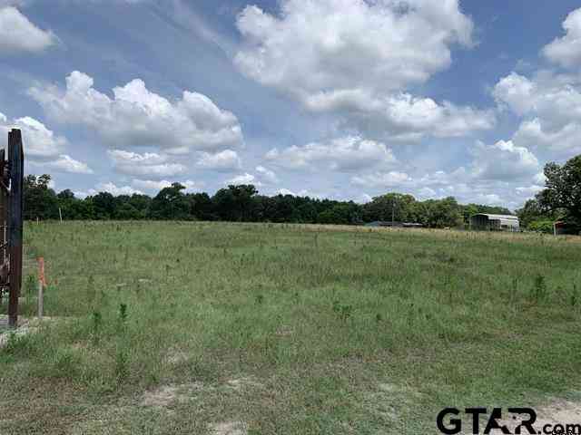 Homes For Sale - TBD Williams Lake Rd Lot 5<br/> Tyler, TX 75704
