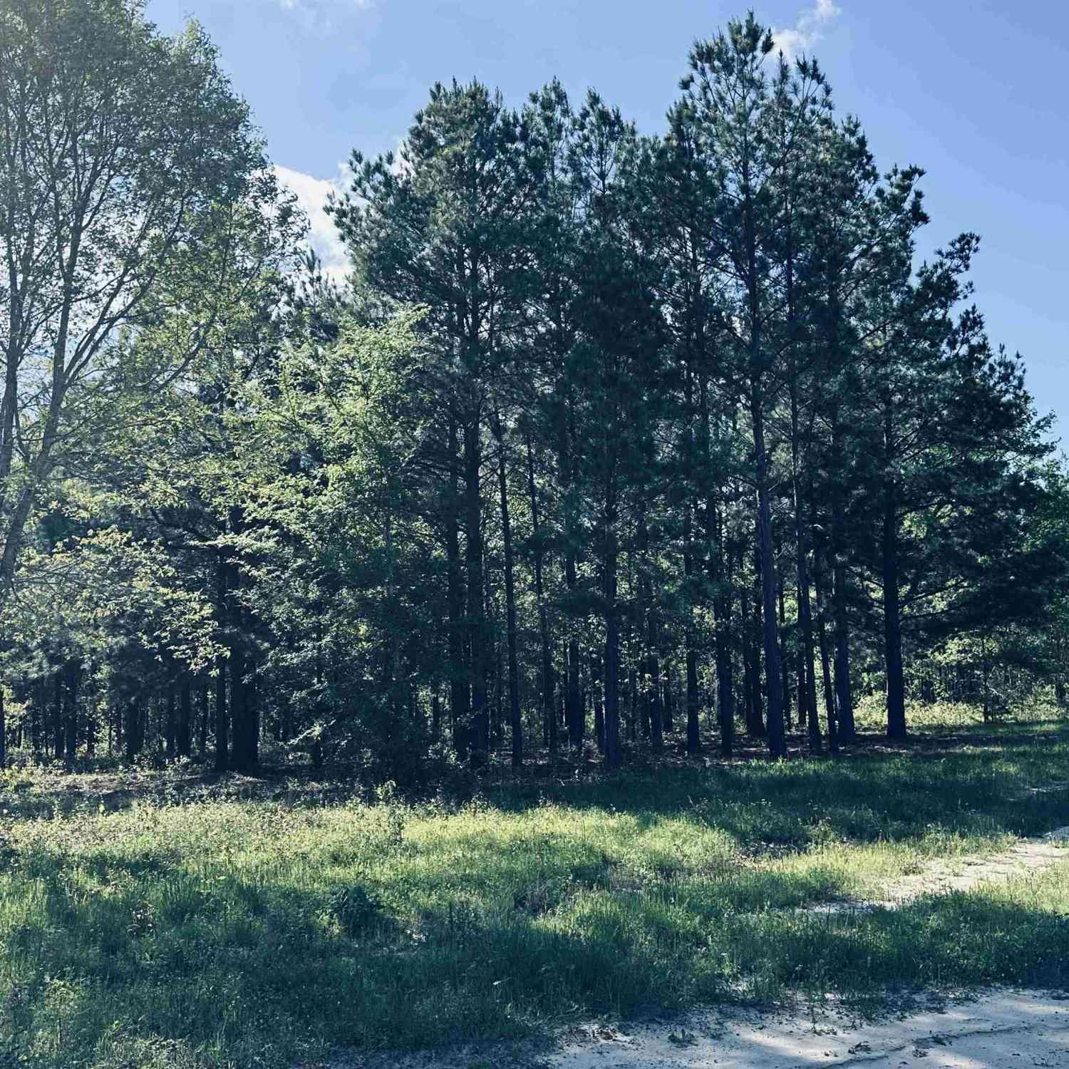 Homes For Sale - 2609 N Fm 346<br/> Cherokee County, Bullard, TX 75757