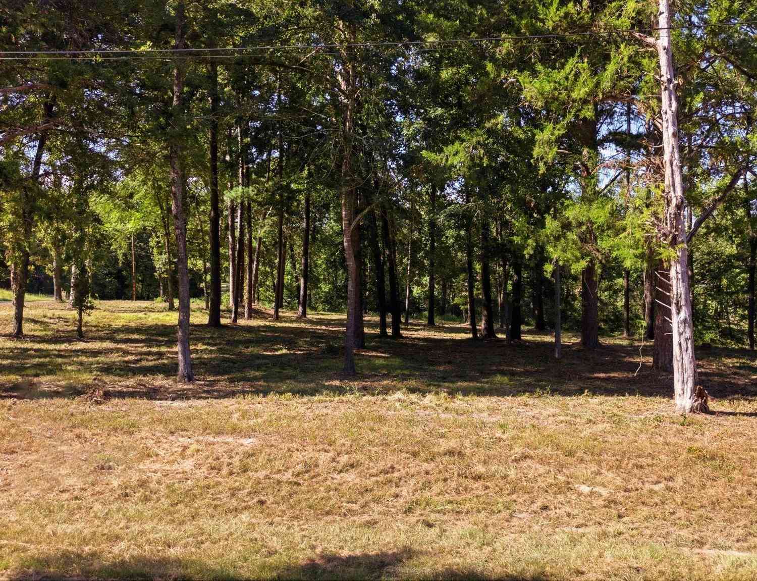 Homes For Sale - TBD Wilson Rd. (lot 42)<br/> Tyler, TX 75707