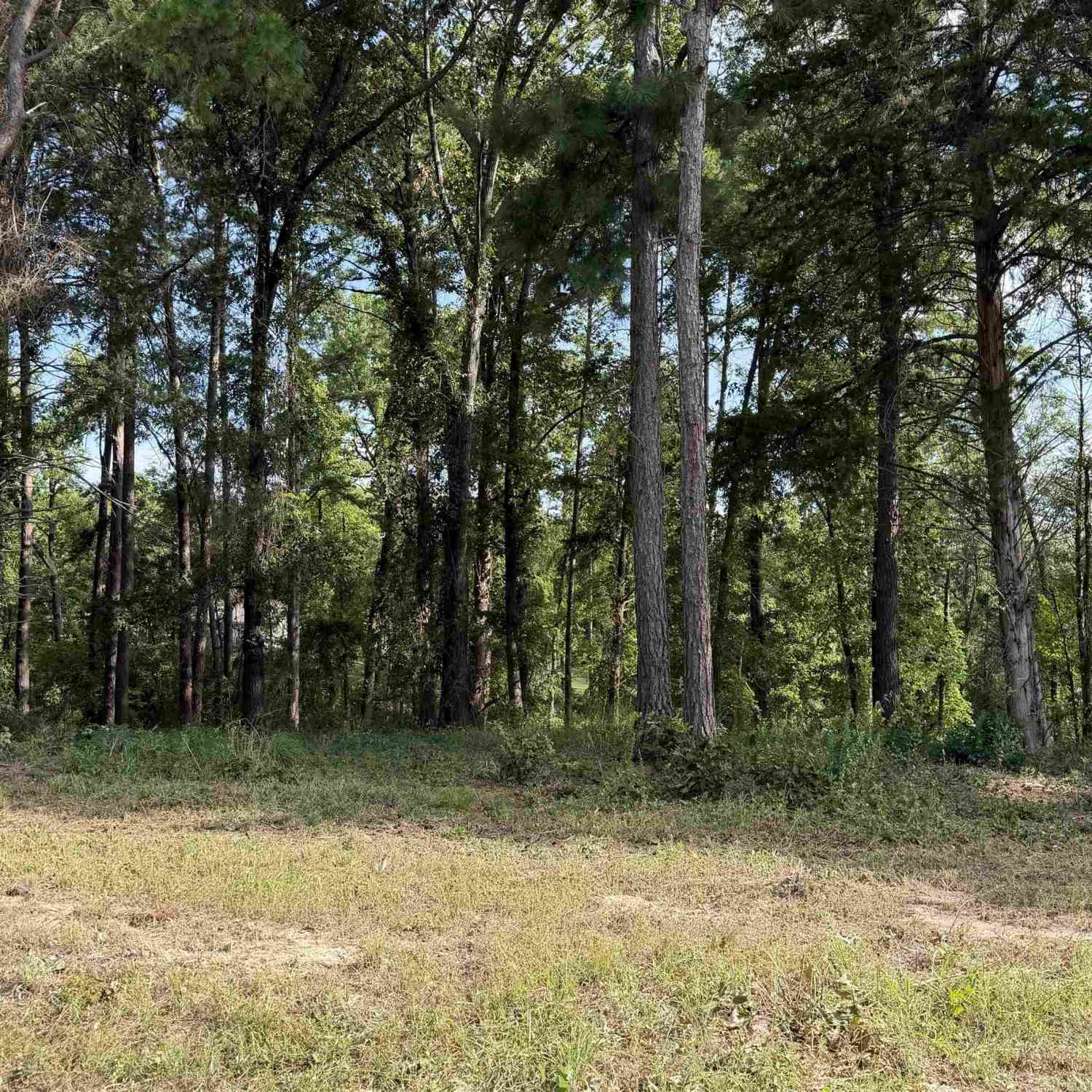 Homes For Sale - TBD Wilson Rd. (lot 43)<br/> Tyler, TX 75707