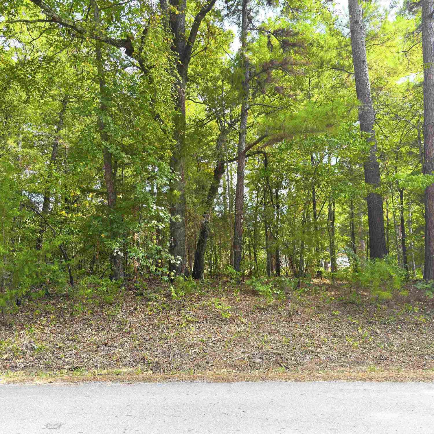 Homes For Sale - 534 Caroline Lane<br/> Cherokee County, Bullard, TX 75757