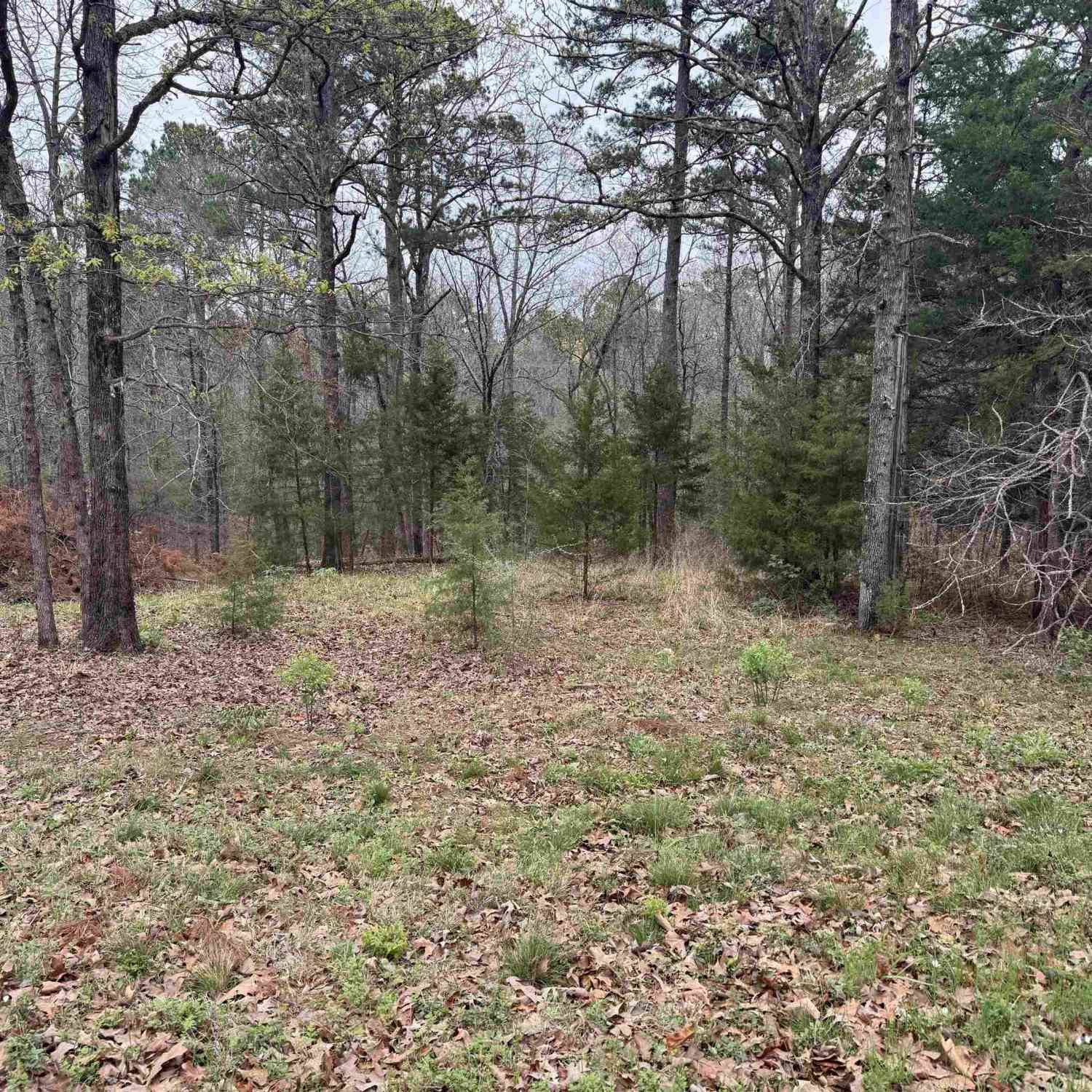 Homes For Sale - LOTS 9-11 Lake Gladewater Rd<br/> Upshur County, Gladewater, TX 75647