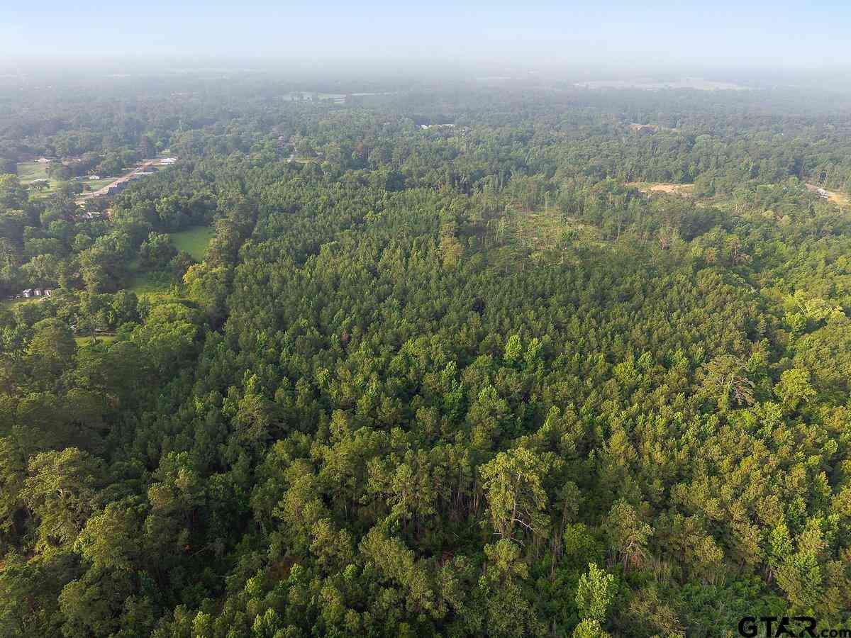 Homes For Sale - TBD 21.44-acres, Jordan St<br/> Cherokee County, Rusk, TX 75785