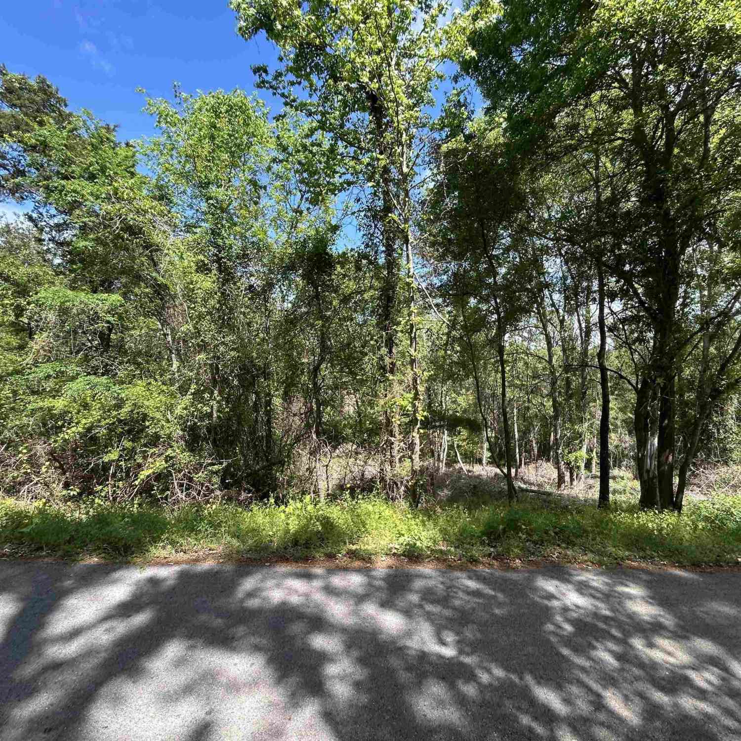 Homes For Sale - 13904 County Road 1250<br/> Smith County, Tyler, TX 75709