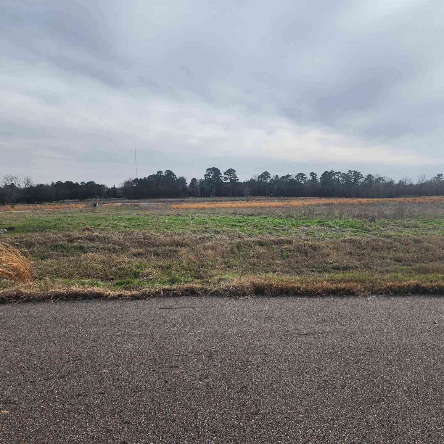 Homes For Sale - TBD Southshore Lot 52<br/> Camp County, Pittsburg, TX 75686