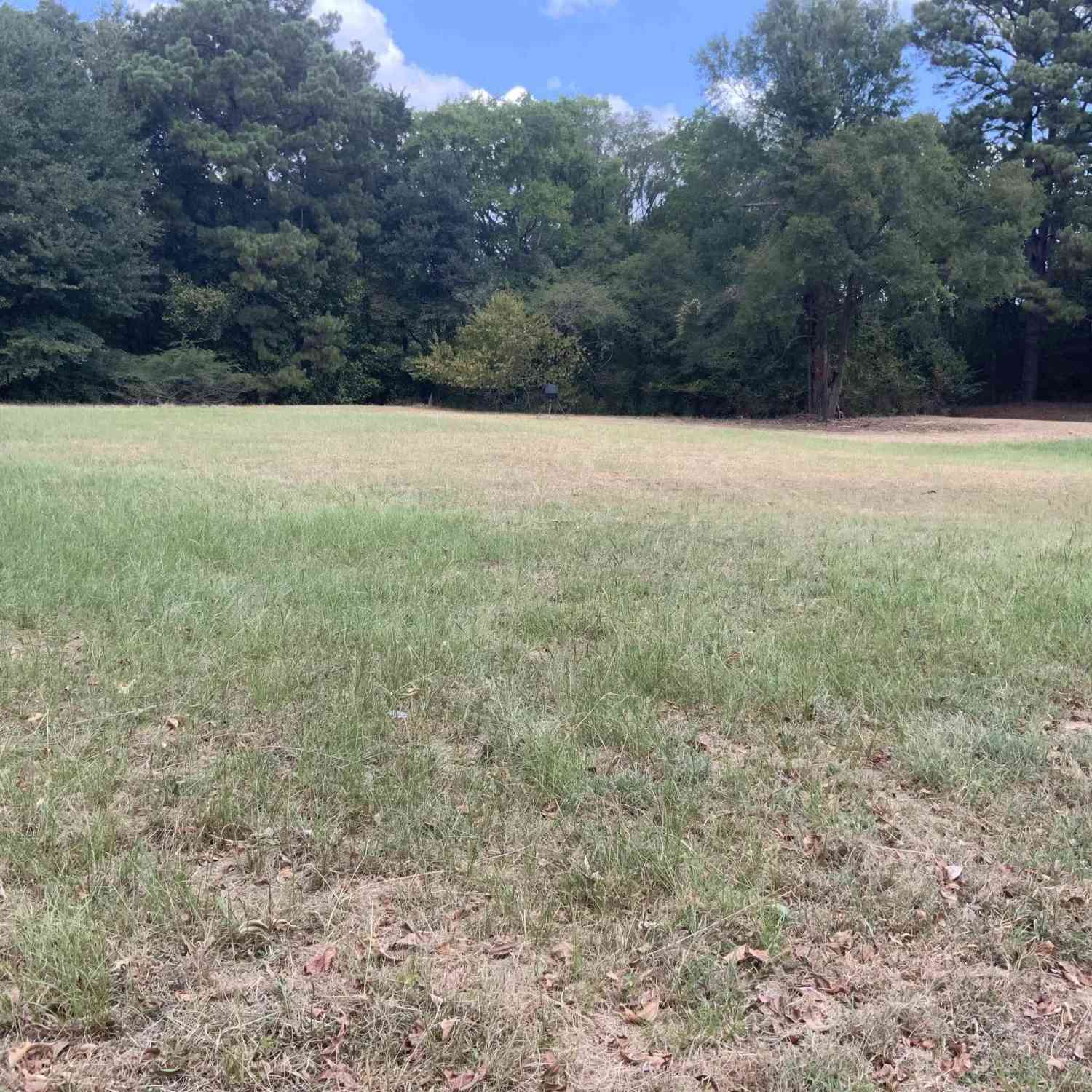 Homes For Sale - LOT 4 Cade Drive<br/> Chandler, TX 75758