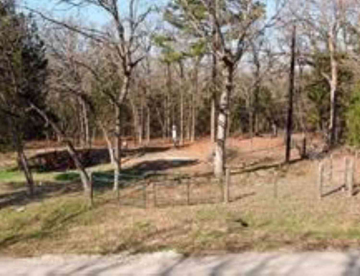Homes For Sale - 407 411 Long Shadow<br/> Murchison, TX 75778
