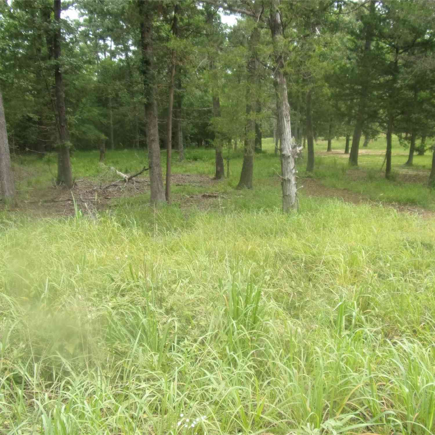 Homes For Sale - 944 Whipporwill<br/> Murchison, TX 75778
