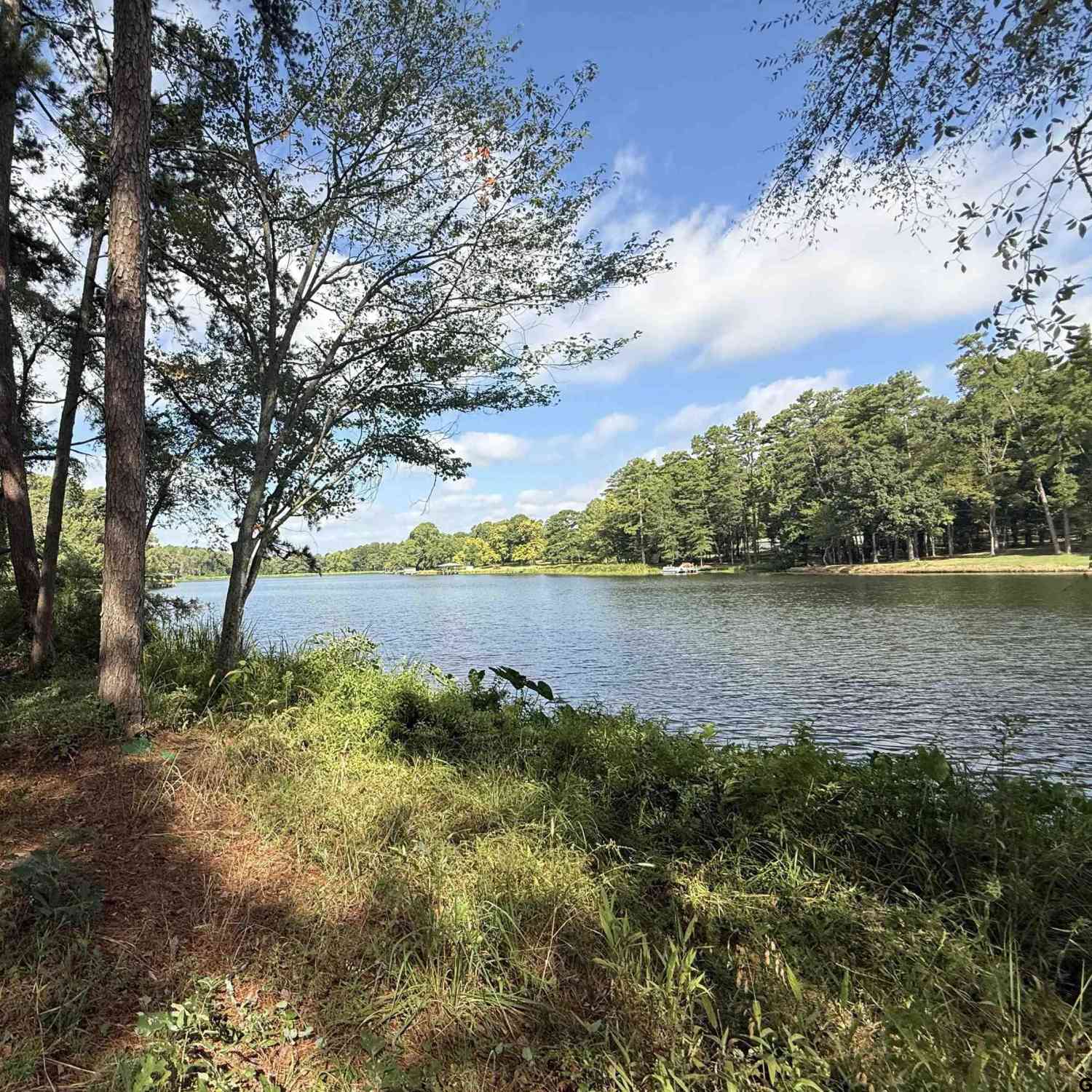 Homes For Sale - 13254 County Road 468<br/> Tyler, TX 75704