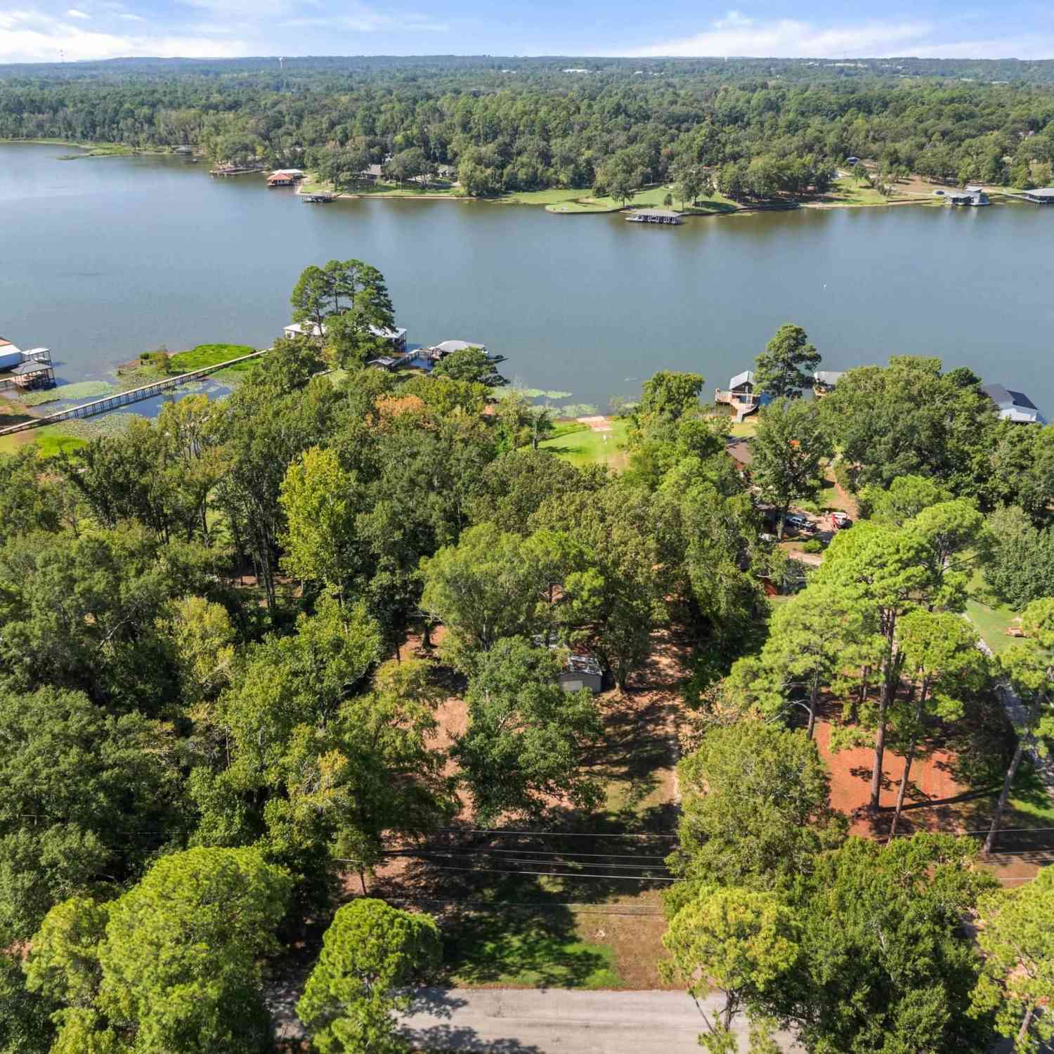 Homes For Sale - 15606 Mcelroy Rd<br/> Smith County, Whitehouse, TX 75791