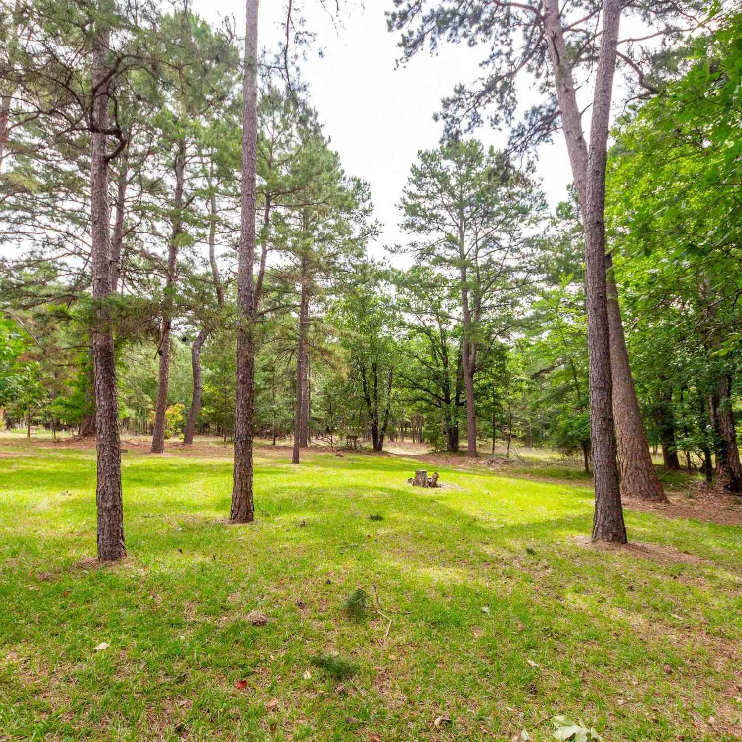 Homes For Sale - 415 Pr 7519<br/> Frankston, TX 75763