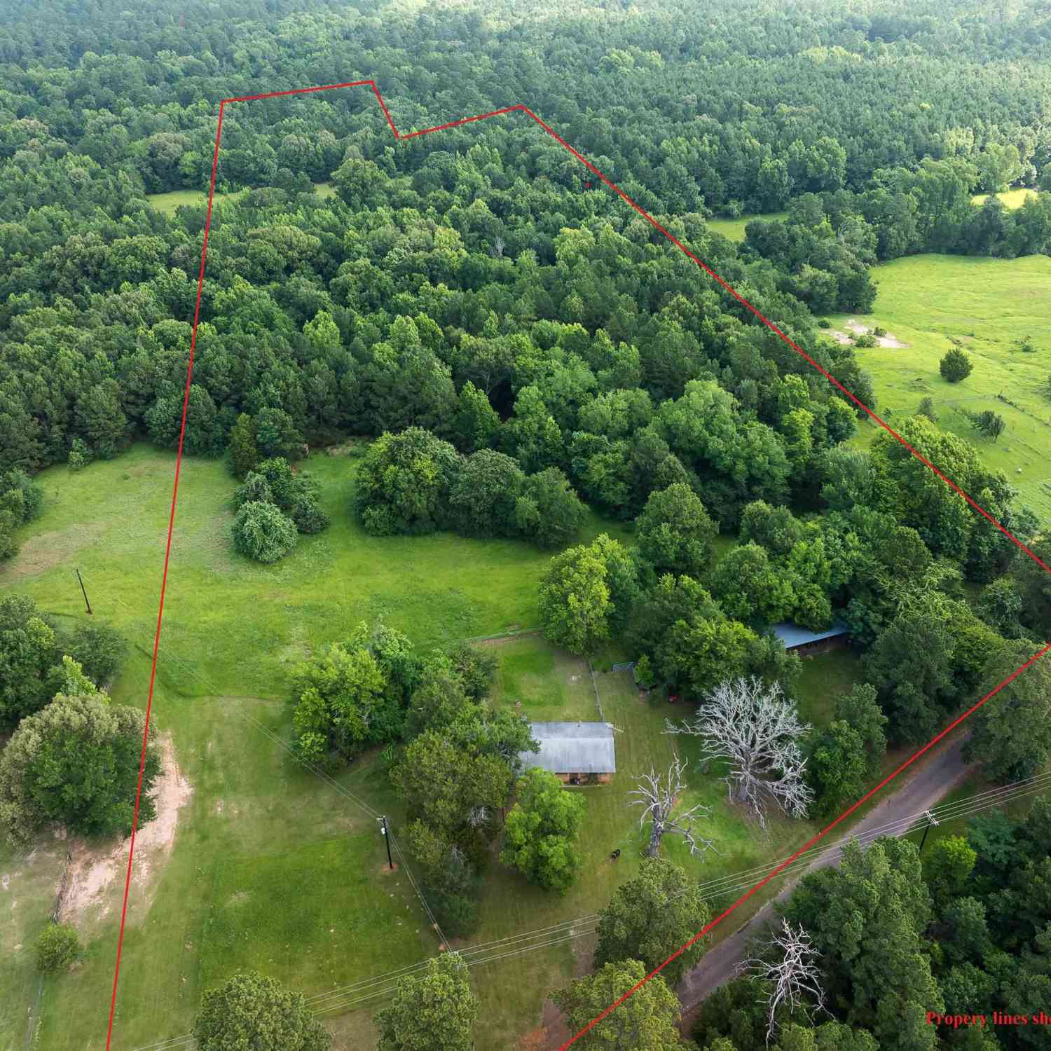 Homes For Sale - 519 An County Road 45<br/> Palestine, TX 75803